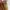 FAME outer tile kebaya tunik terracotta terakota  photo 3