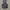 Formal vest inner suit photo 1