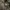 K-Swiss Goose Down Gorpcore Puffer Jacket photo 6