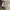 Atasan bulu fuzzy  photo 3