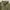 Wmb Workshirt  Green Military Pocket  photo 4