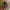 Cozymarkets Minete Flatshoes photo 1