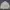 White Evinrude Windbreaker jacket photo 1
