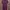 Maroon Brokat Dress