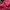 Batik Pakaian Nasional Evening dress Wanita red photo 5