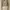 Avgal crop knit cardigan  photo 2