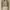 Avgal Crop Knit Cardigan 