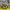 Pelampung Anak | Swim Boat | Swimming Boat | Pool Floats 