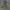 Vintage Green Military Jacket photo 1