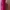 Fairy Prom dress Wanita pink photo 4