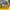 INTEX Pool Floats | Mainan Ban Renang Anak | Pool Swim Float