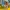 INTEX Pool Floats | Mainan Ban Renang Anak | Pool Swim Float