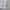 Jersey Template Diadora photo 4