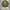 Lafudge store m65 fishtail Jacket photo 3
