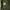 US ARMY RAINCOAT Vietnam war era  photo 4