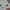 Kaos OAKLEY Sport Perpomance Fit colour White Size M Prelove photo 5