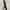 groem airbrush photo 6