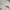 Goldwin Japan Hooded Outdoor Gear Windproof photo 8