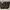 Louis Vuitton Neverfull (Auth) 2009 photo 1