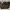 Louis Vuitton Neverfull (Auth) 2009