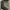 Louis Vuitton Neverfull (Auth) 2009