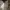 Louis Vuitton Neverfull (Auth) 2009 photo 4