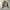 Hollister sherpa liner jacket photo 1