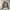 Hollister Sherpa Liner Jacket