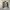 Hollister sherpa liner jacket photo 6