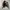 Hollister sherpa liner jacket photo 5