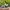 Nike Air Max photo 1