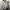 Cosplay Casual Parka Wanita white photo 1