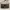 Fendi Coquette Handbag Wanita brown photo 2