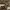 Fendi Coquette Handbag Wanita brown photo 6