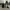 Action figure Gojo Satoru photo 4