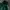 Adidas Casual Sweatshirt Pria green photo 2