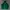 Adidas Casual Sweatshirt Pria green photo 1