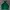 Adidas Casual Sweatshirt Pria Green