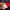 Adidas Casual Sweatshirt Pria red photo 5