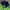 Adidas Casual Sweatshirt Pria green photo 3