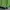Adidas Casual Sweatshirt Pria Green