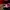Adidas Casual Sweatshirt Pria red photo 4