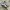 ADIDAS SAMBA OG WHITE BLACK  photo 1
