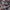 Patagonia Streetwear Y2K Short Pria brown gray photo 4
