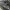 NIKE AIR MAX PLUS TN3 photo 2