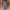 Overall rok jeans photo 1