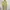 Plantation Issey Miyake Dress Size M photo 1