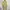 Plantation Issey Miyake Dress Size M