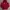 Nike Casual Bomber jacket Pria burgundy red photo 2