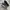 NIKE AIR JORDAN 4 RETRO photo 1